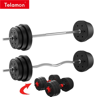 25kg Barbell Teeb
