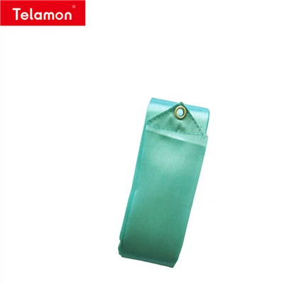 Golden Ribbon Rhythmic Gymnastics